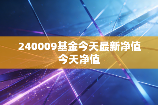 240009基金今天最新净值今天净值