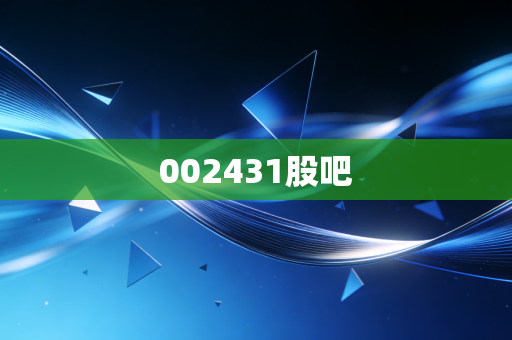 002431股吧