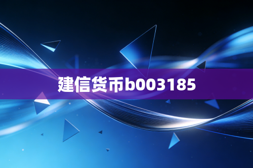 建信货币b003185