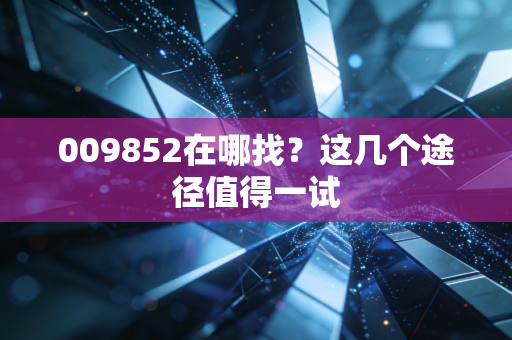 009852在哪找？这几个途径值得一试