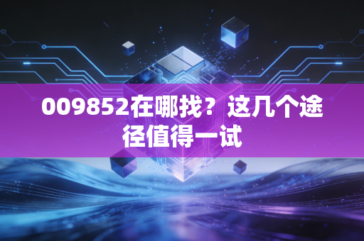 009852在哪找？这几个途径值得一试
