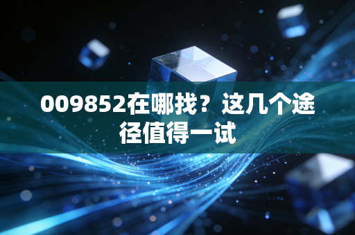 009852在哪找？这几个途径值得一试