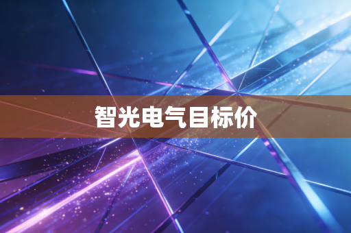 智光电气目标价