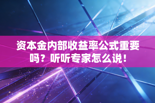 资本金内部收益率公式重要吗？听听专家怎么说！