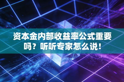 资本金内部收益率公式重要吗？听听专家怎么说！