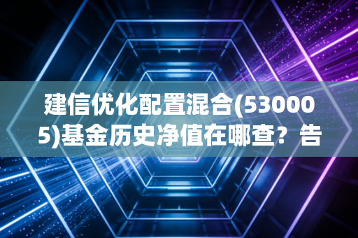 建信优化配置混合(530005)基金历史净值在哪查？告诉你