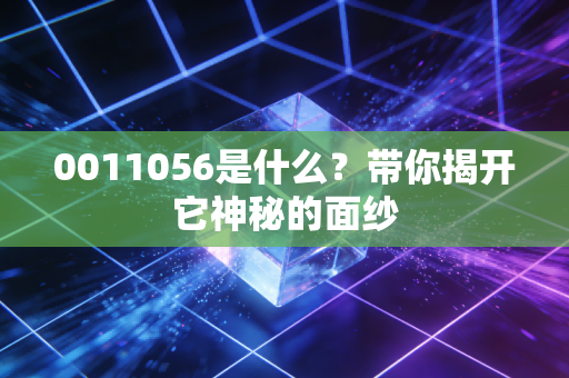 0011056是什么？带你揭开它神秘的面纱