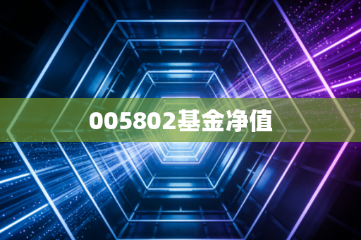 005802基金净值
