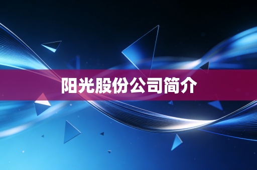 阳光股份公司简介