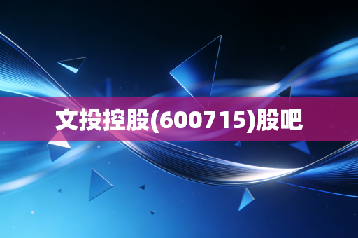 文投控股(600715)股吧