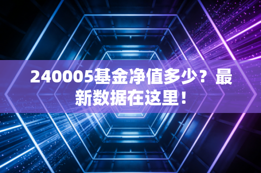 240005基金净值多少？最新数据在这里！