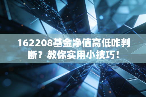162208基金净值高低咋判断？教你实用小技巧！