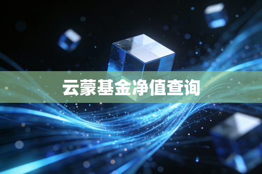 云蒙基金净值查询