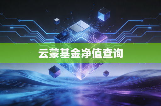 云蒙基金净值查询