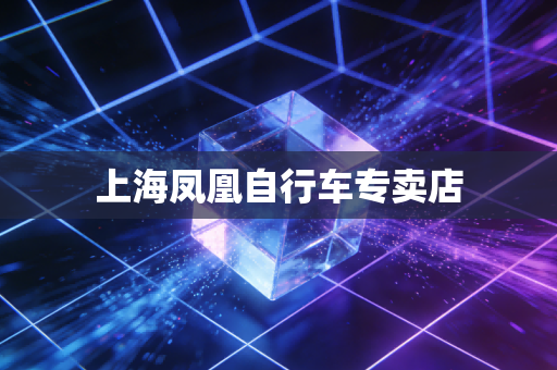 上海凤凰自行车专卖店