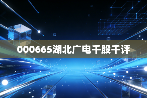 000665湖北广电千股千评