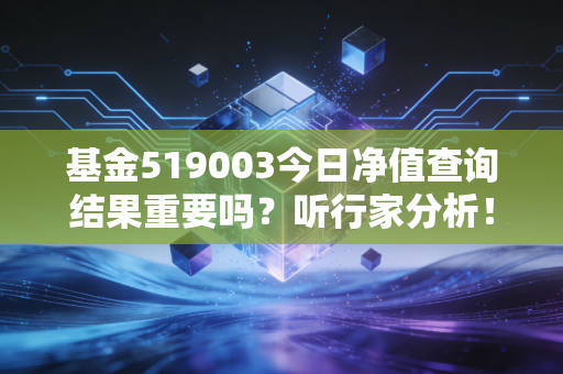 基金519003今日净值查询结果重要吗？听行家分析！