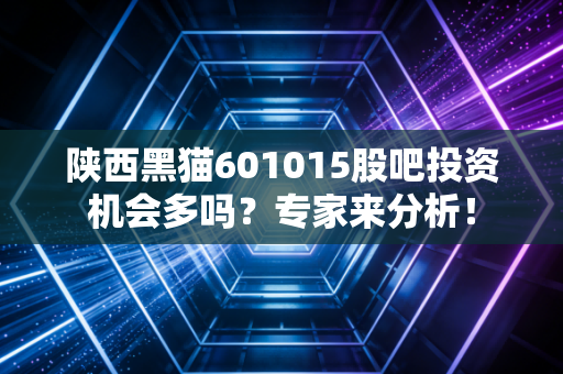 陕西黑猫601015股吧投资机会多吗？专家来分析！
