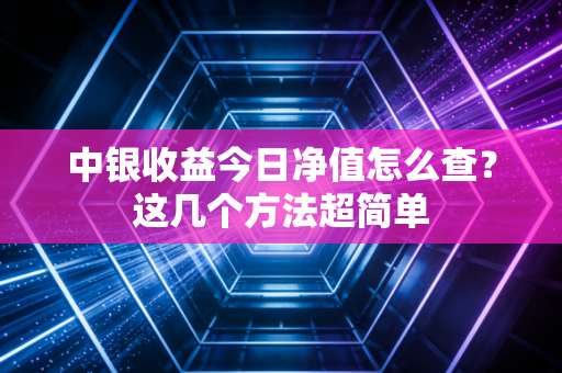 中银收益今日净值怎么查？这几个方法超简单