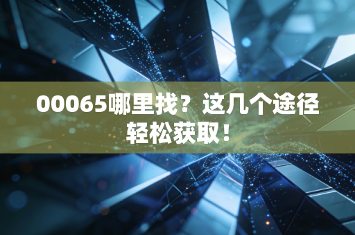 00065哪里找？这几个途径轻松获取！