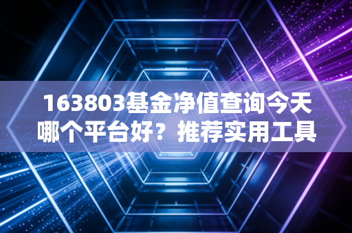 163803基金净值查询今天哪个平台好？推荐实用工具TOP3！