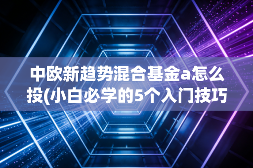 中欧新趋势混合基金a怎么投(小白必学的5个入门技巧)