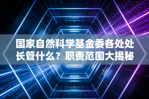 国家自然科学基金委各处处长管什么？职责范围大揭秘！