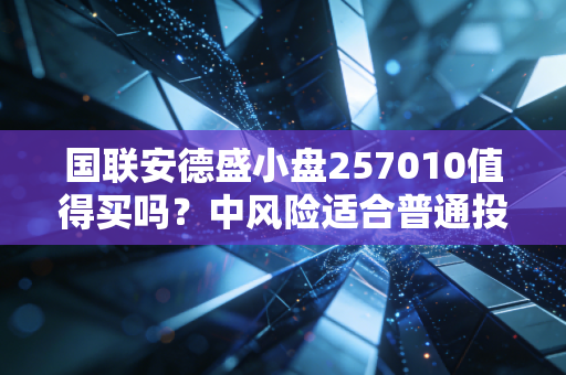 国联安德盛小盘257010值得买吗？中风险适合普通投资者！