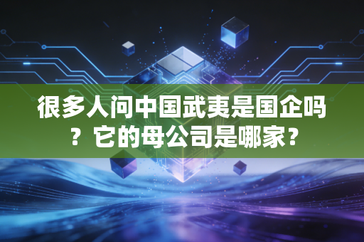 很多人问中国武夷是国企吗？它的母公司是哪家？