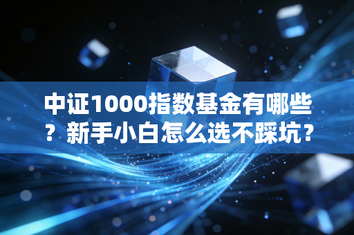 中证1000指数基金有哪些？新手小白怎么选不踩坑？