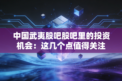 中国武夷股吧股吧里的投资机会：这几个点值得关注