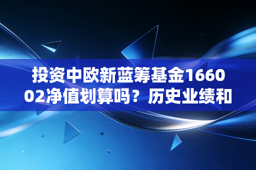 投资中欧新蓝筹基金166002净值划算吗？历史业绩和风险全面评估