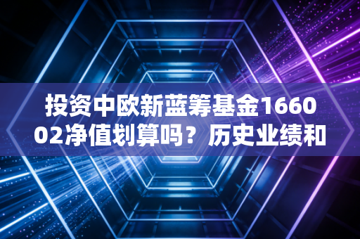 投资中欧新蓝筹基金166002净值划算吗？历史业绩和风险全面评估