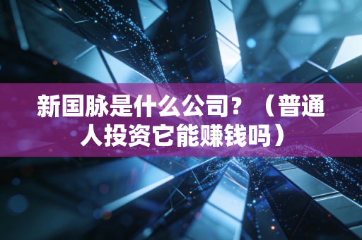 新国脉是什么公司？（普通人投资它能赚钱吗）