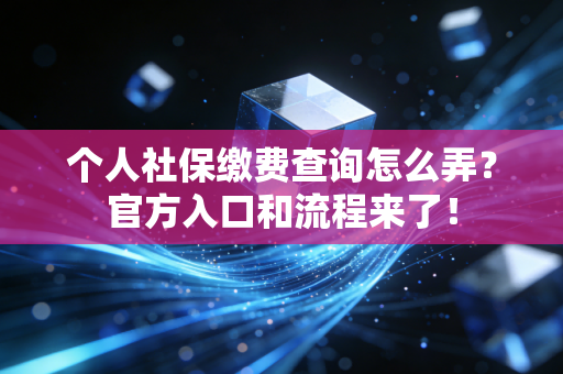 个人社保缴费查询怎么弄？官方入口和流程来了！