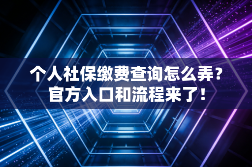 个人社保缴费查询怎么弄？官方入口和流程来了！