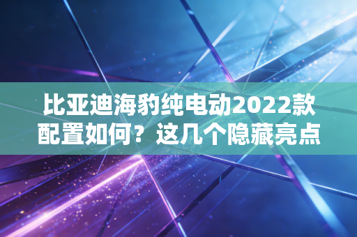 比亚迪海豹纯电动2022款配置如何？这几个隐藏亮点千万不要错过！