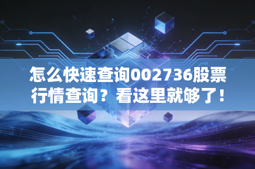 怎么快速查询002736股票行情查询？看这里就够了！