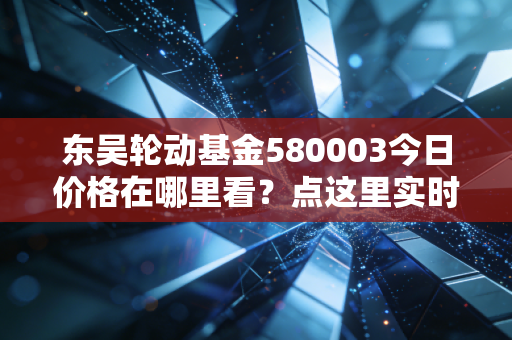 东吴轮动基金580003今日价格在哪里看？点这里实时查询最新净值