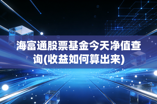 海富通股票基金今天净值查询(收益如何算出来)