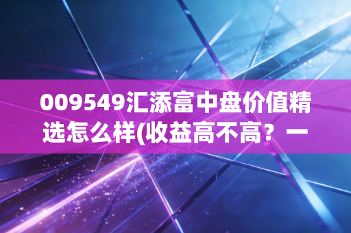009549汇添富中盘价值精选怎么样(收益高不高？一文看懂投资价值)