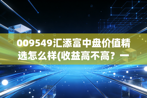 009549汇添富中盘价值精选怎么样(收益高不高？一文看懂投资价值)
