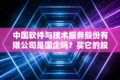中国软件与技术服务股份有限公司是国企吗？买它的股票风险大不大？