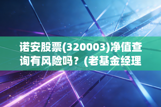 诺安股票(320003)净值查询有风险吗？(老基金经理的投资策略解读)
