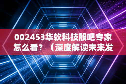 002453华软科技股吧专家怎么看？（深度解读未来发展前景和估值）