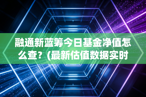 融通新蓝筹今日基金净值怎么查？(最新估值数据实时查询方法)