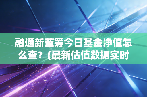 融通新蓝筹今日基金净值怎么查？(最新估值数据实时查询方法)