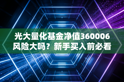 光大量化基金净值360006风险大吗？新手买入前必看指南