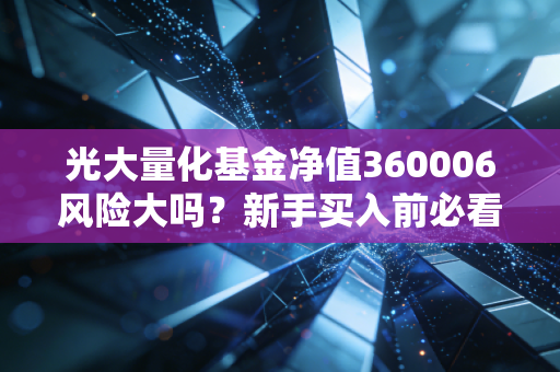 光大量化基金净值360006风险大吗？新手买入前必看指南