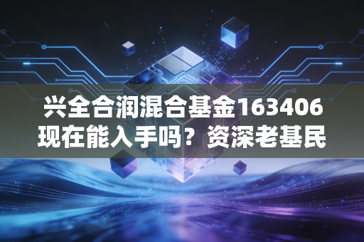 兴全合润混合基金163406现在能入手吗？资深老基民分享操作技巧！